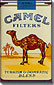 Camel Cigarettes