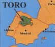 Toro