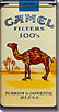 CAMEL FILTER 100 