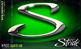 Stride Sugarless Spearmint 12/14ct. 