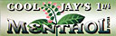 COOL JAYS MENTHOL 1 1/4 CIGARETTE PAPERS 24CT BOX 