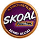 SKOAL POUCHES BERRY BLEND 5CT/ROLL 