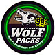 TIMBER WOLF PACKS WINTERGREEN POUCHES 12CT CARTON - SPECIAL PROMOTION 