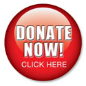 Donation 
